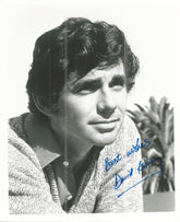 Serpico David Birney signed photo